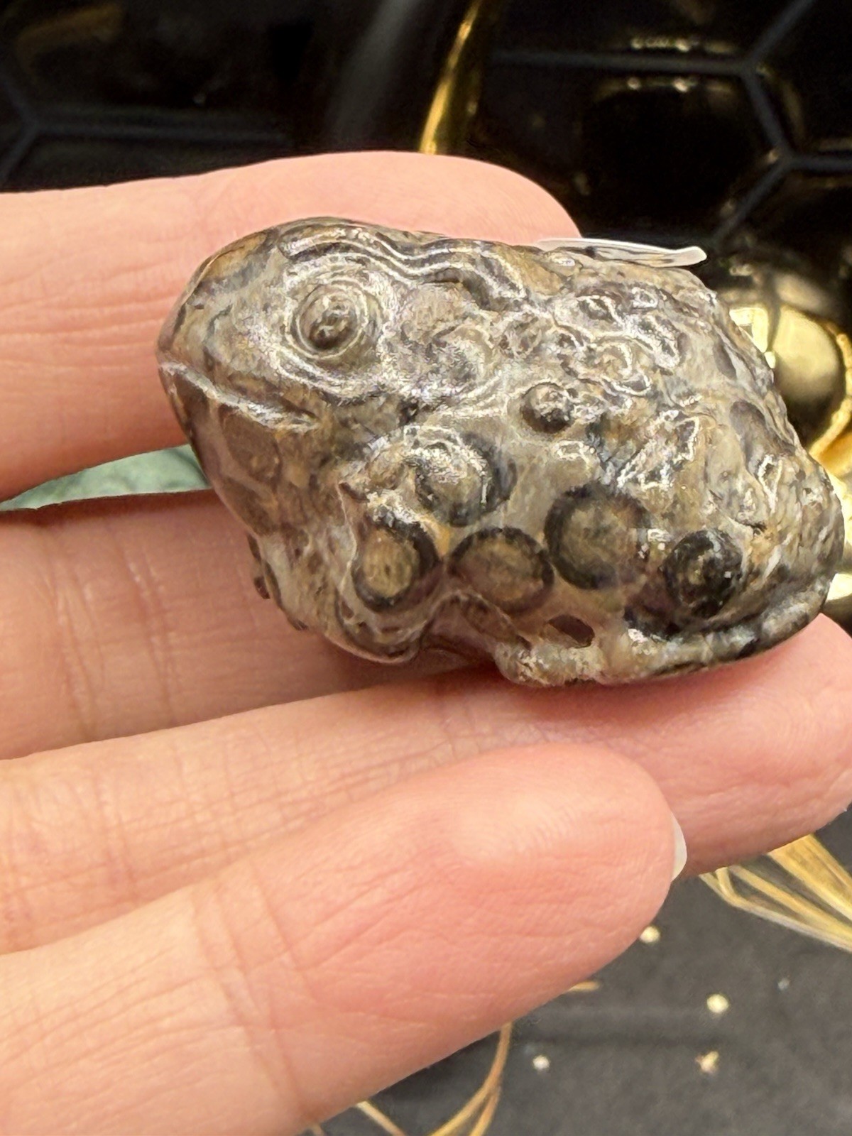 Natural Leopard Skin Japser Baby Toads O.M.G cute & Life like! Free shipping