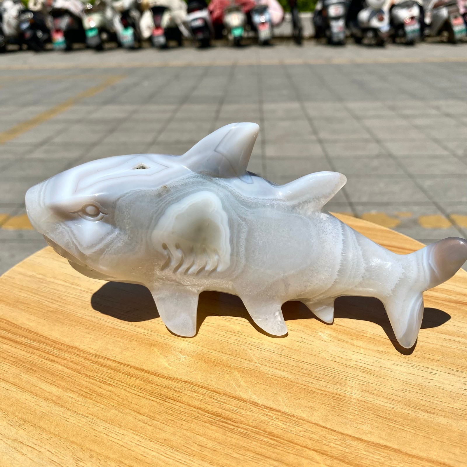 1.41LB Natural Agate Hand Carved Shark Figurine, Ocean Power Crystal Statue