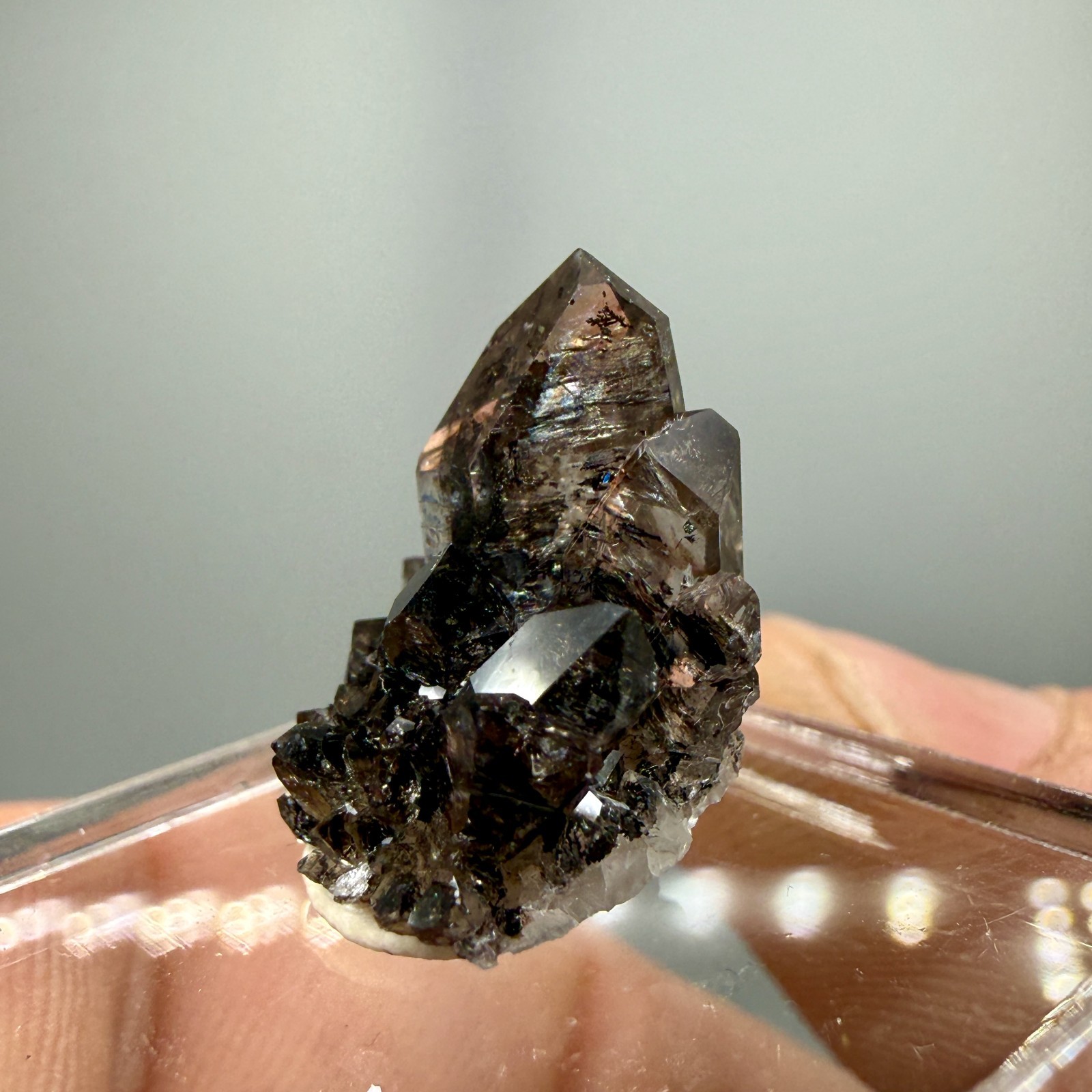 Herkimer Diamond Perched on Rare Black Druze, Gem Points w/ Phantoms