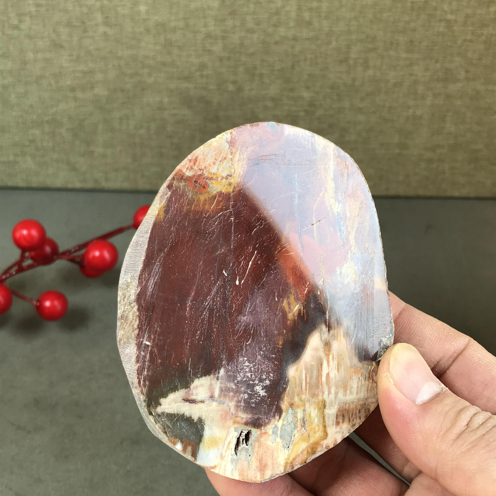92mm natural Beautiful Petrified Wood Crystal Slice mineral specimen 266g A5424