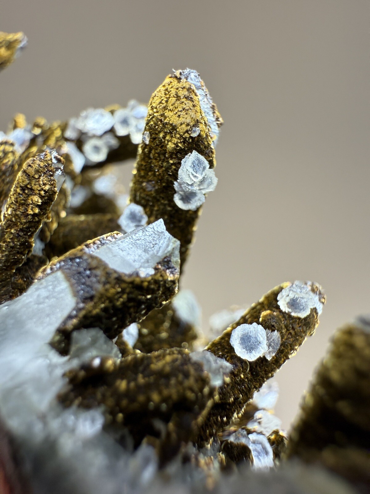 STUNNING Druzy Calcite & Bronze Velvet Chalcopyrite on Quartz Cluster • China