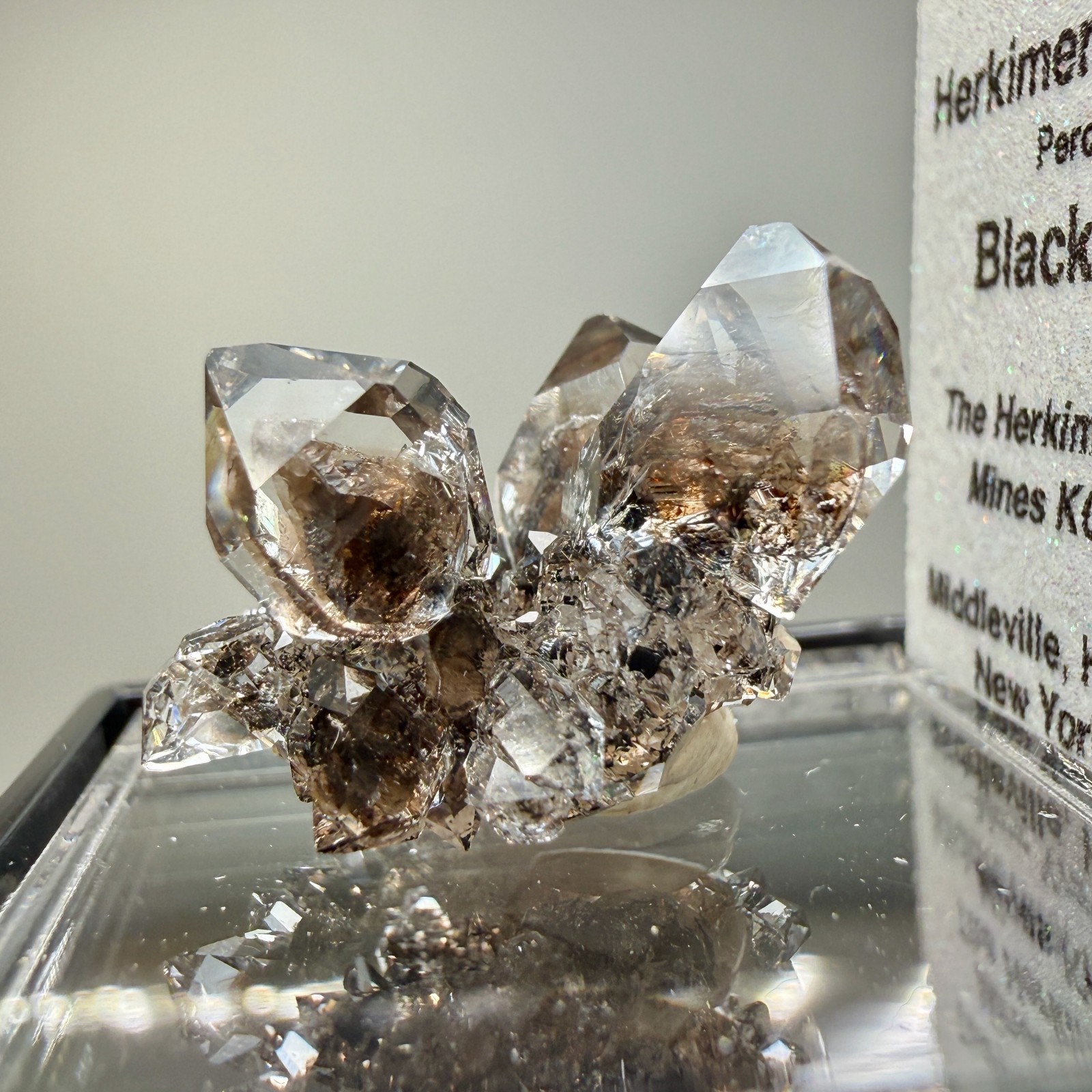 Herkimer Diamond Gems Perched on Druzy Matrix, Complete Floater, Top Shelf Piece