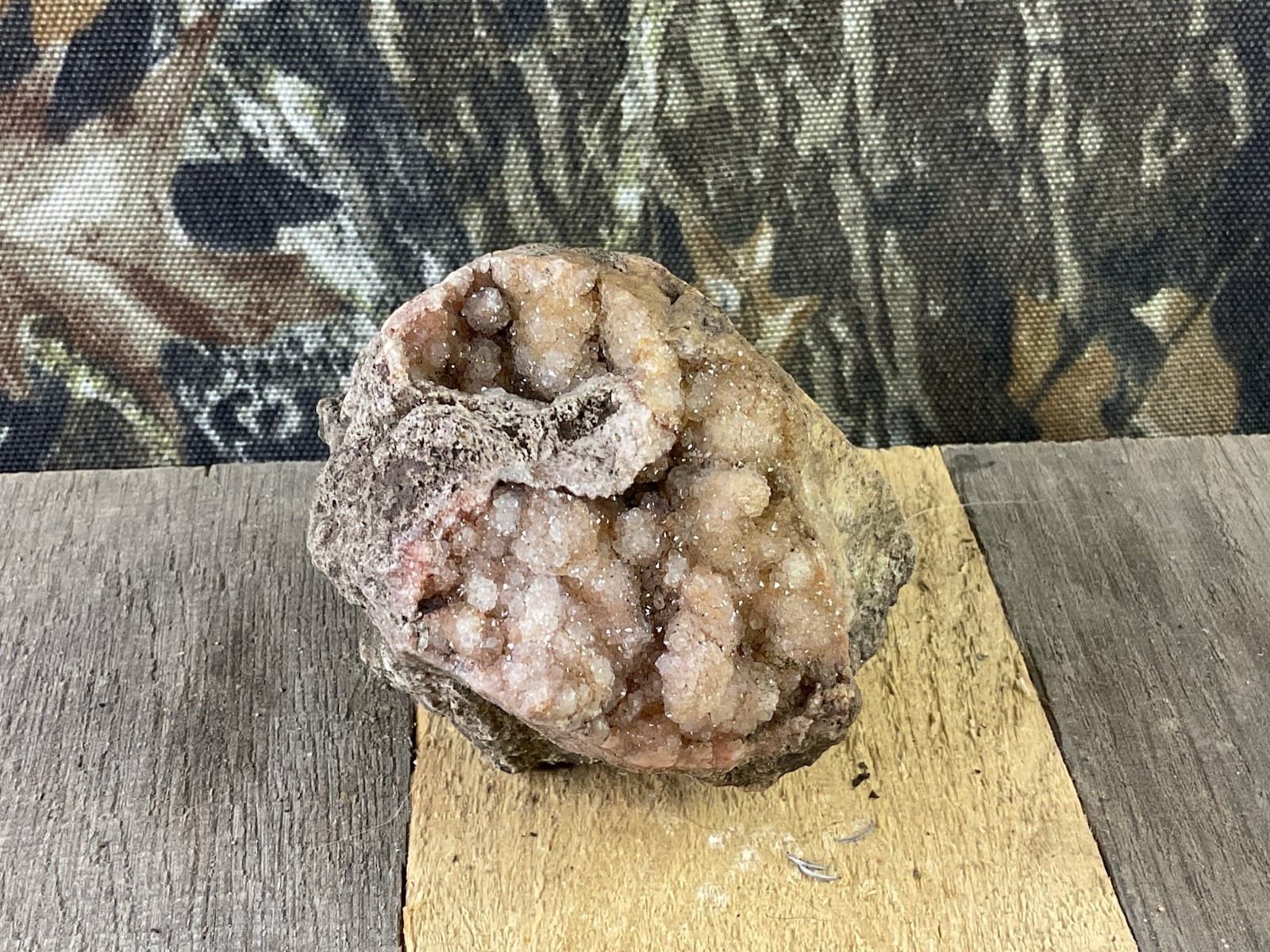 Missouri Druzy Quartz Fossilized Coral Stone Botryoidal Crystals Organic