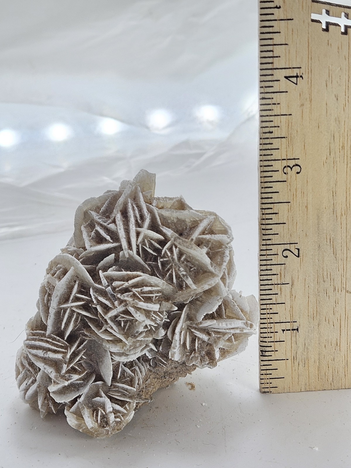 Natural Desert Rose Selenite Cluster – Mexico – Bladed Gypsum Crystal Specimen