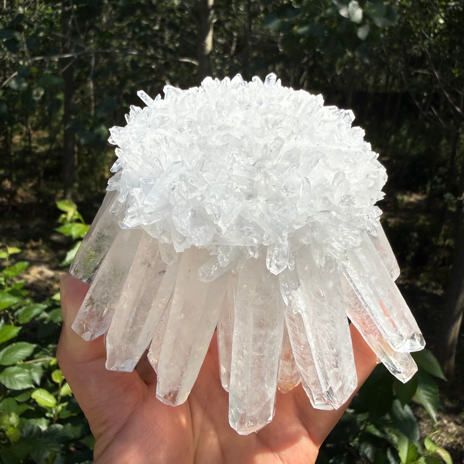 2.2LB Large Natural White Clear Quartz Cluster Crystal Mineral Healing 1pc