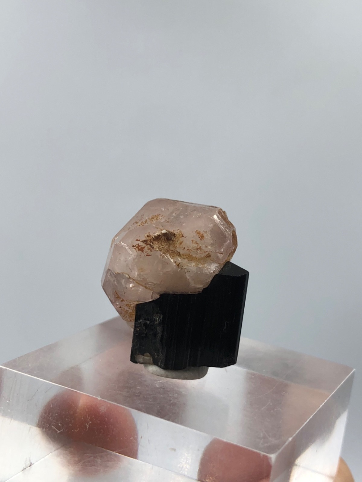 14 Grams Fluorescent Pink apatite Crystal with schorl from skardu pakistan