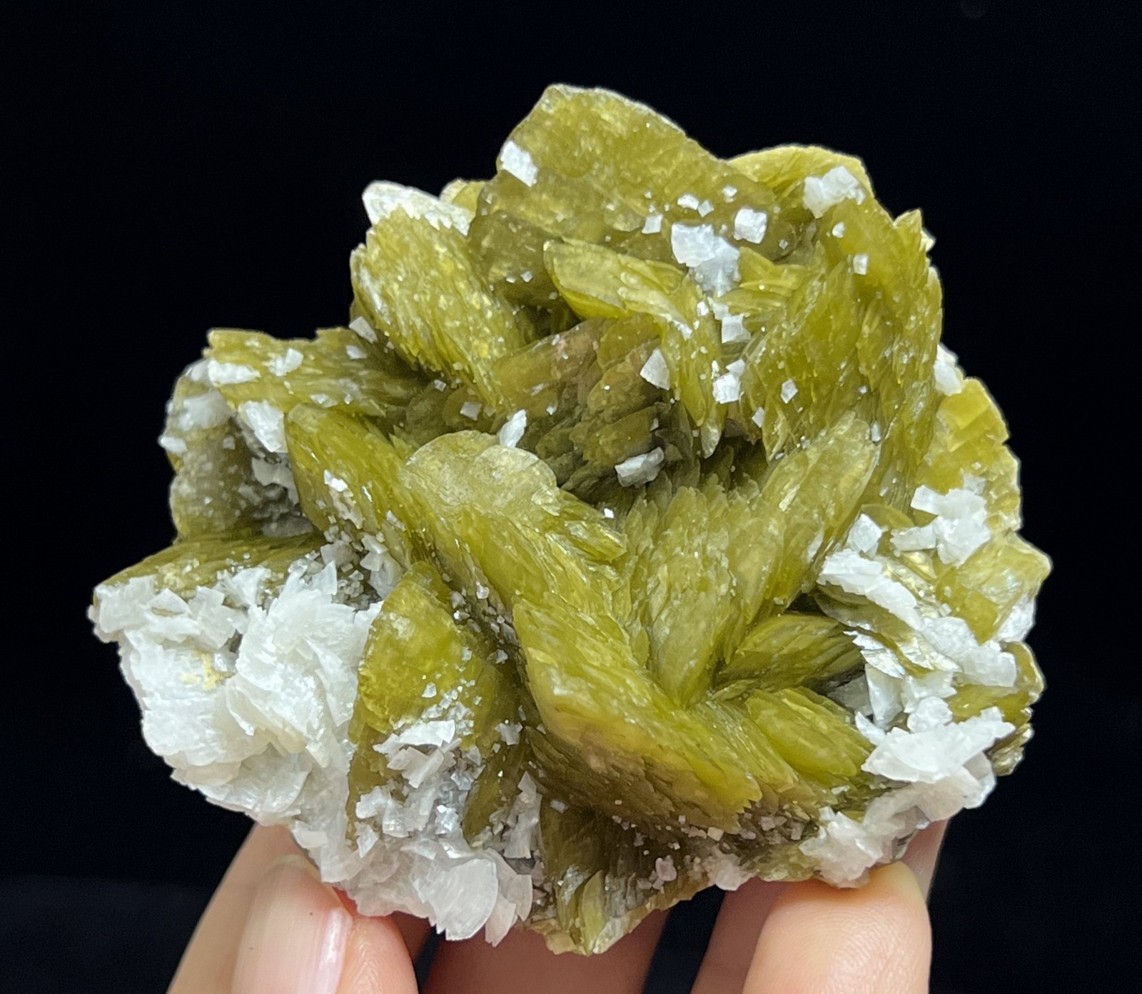 67mm 150g White Dolomite on Siderite cluster from China, Natural Mineral