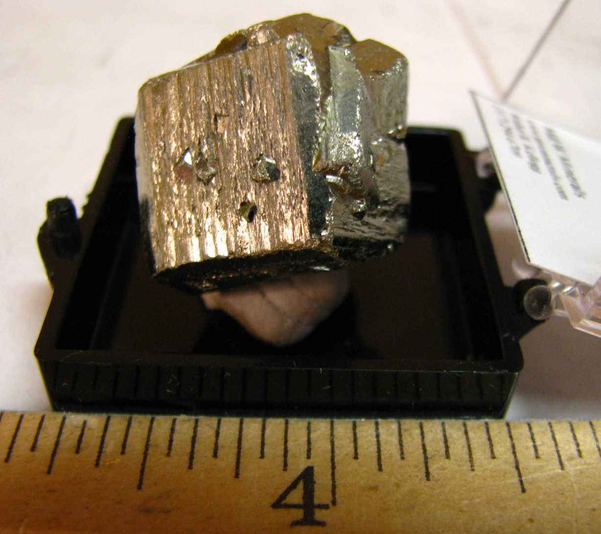 GOLDEN PYRITE THUMBNAIL IN CASE CUBIC MURO DE AGUQAS LA RIOGA SPAIN #159