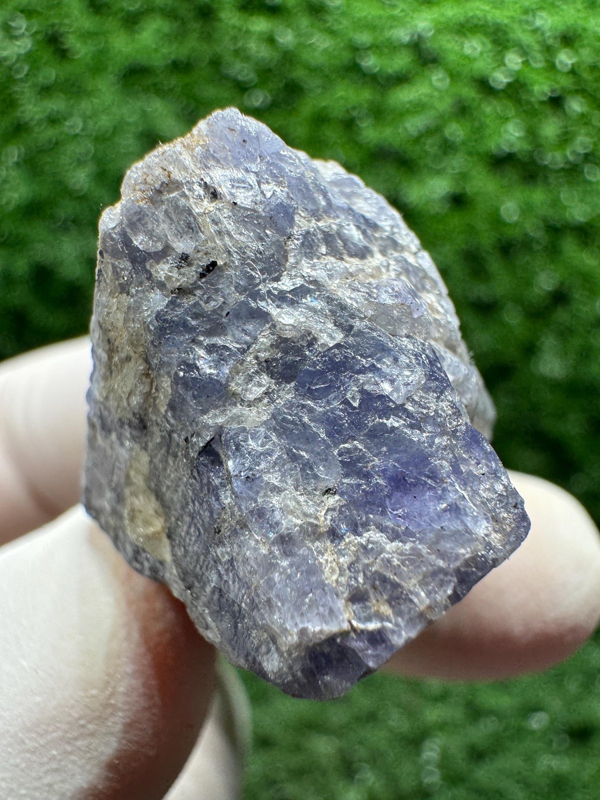 TANZANITE Crystal with COLOR CHANGE under yellow/white light / F511