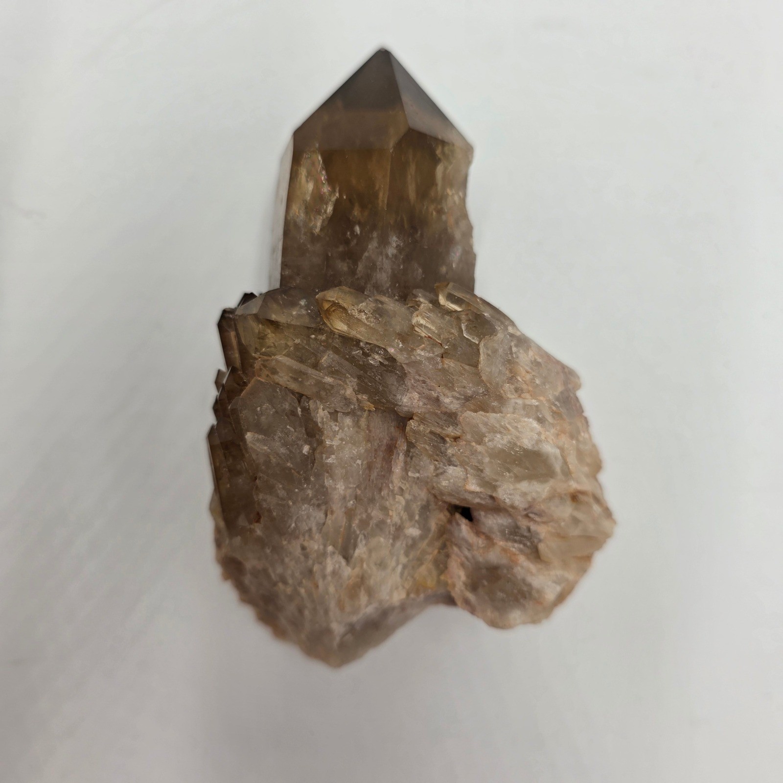 Natural Smoky Quartz Crystal Cluster Point Specimen Brown Translucent 1lb 4.25in