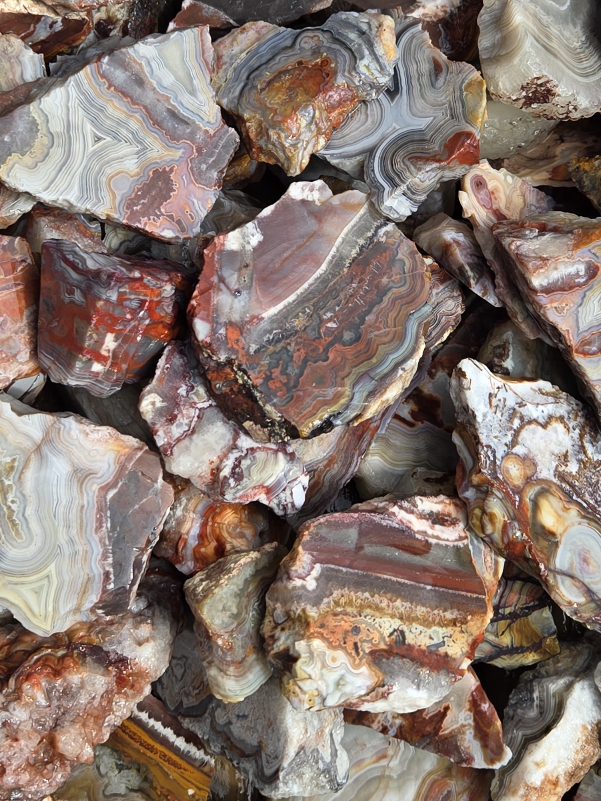 Crazy Lace Agate Rough Mexico – White Red Banding – Cut For Patterns 1 Pound