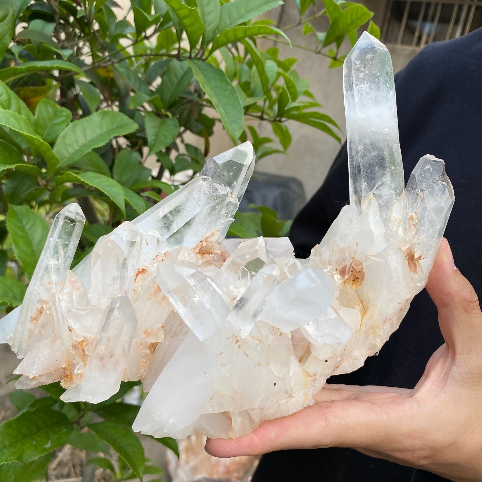 3.1lb Natural Clear White quart Crystal Cluster Raw Healing Specimen