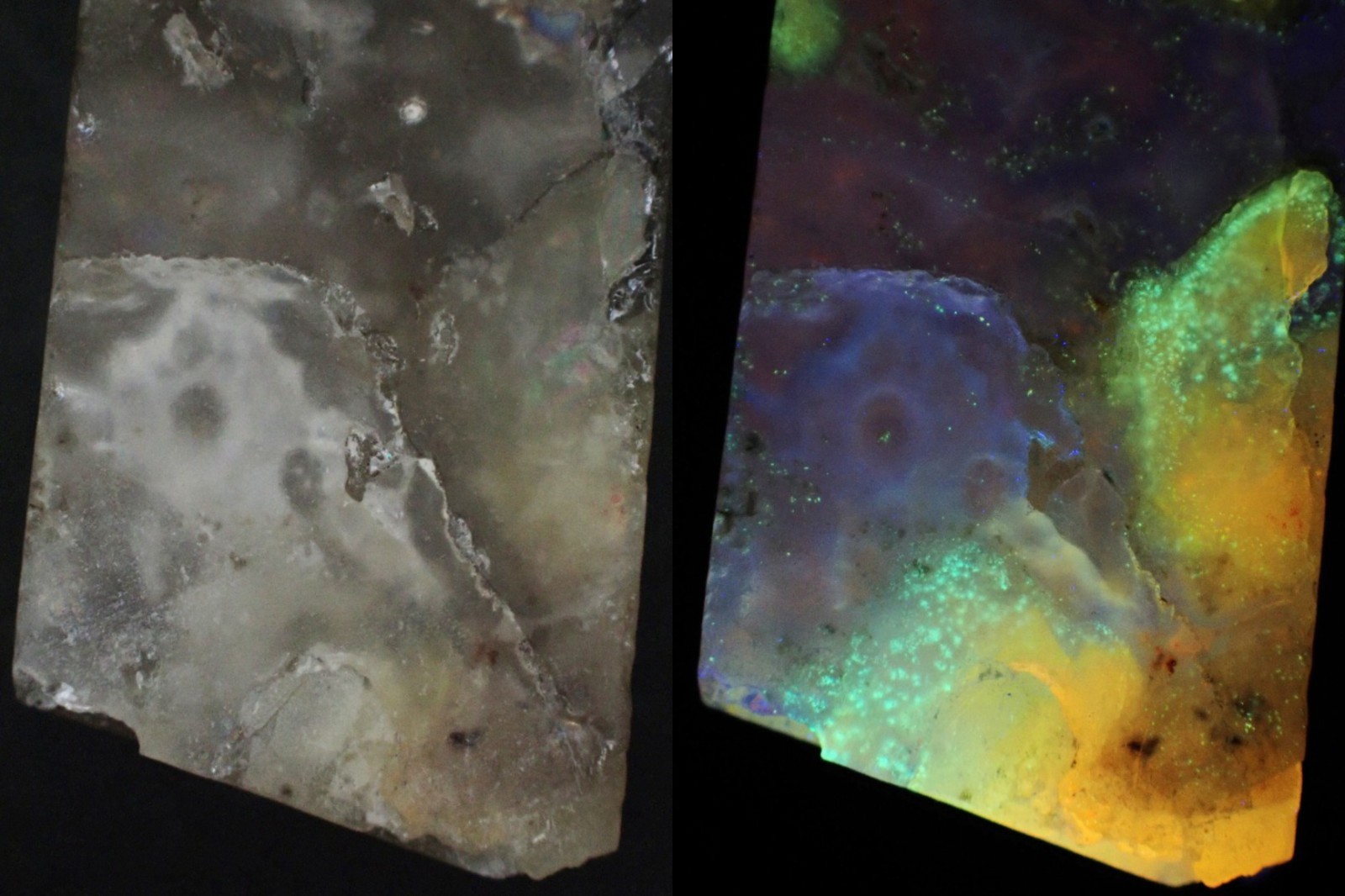 Beautifully fluorescent Hokkaidoite and opals containing organic minerals B262
