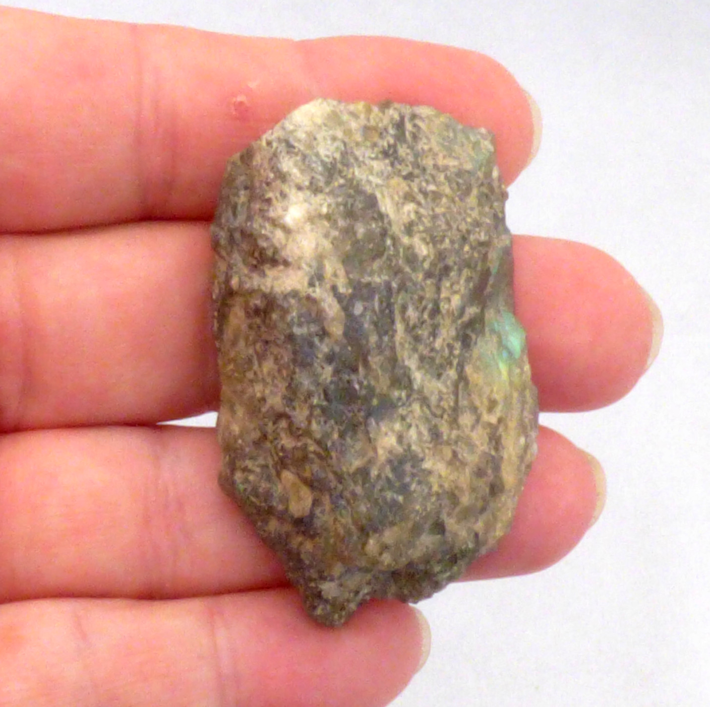Labradorite Slice Blue Green Flash Iridescent Lustre Semi Polished Piece 5cm