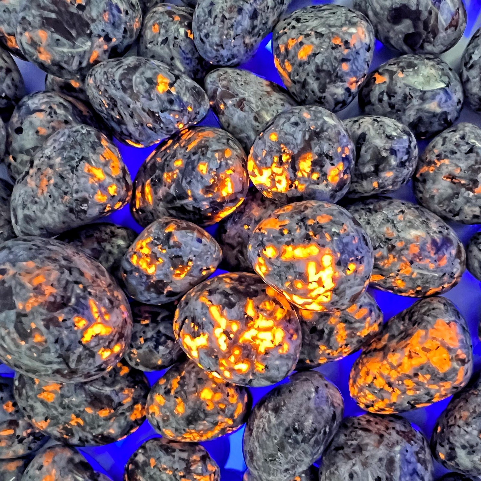 5 PCS Natural Yooperlite Tumbled Stone UV Reactive Sodalite Gemstone Home Decor