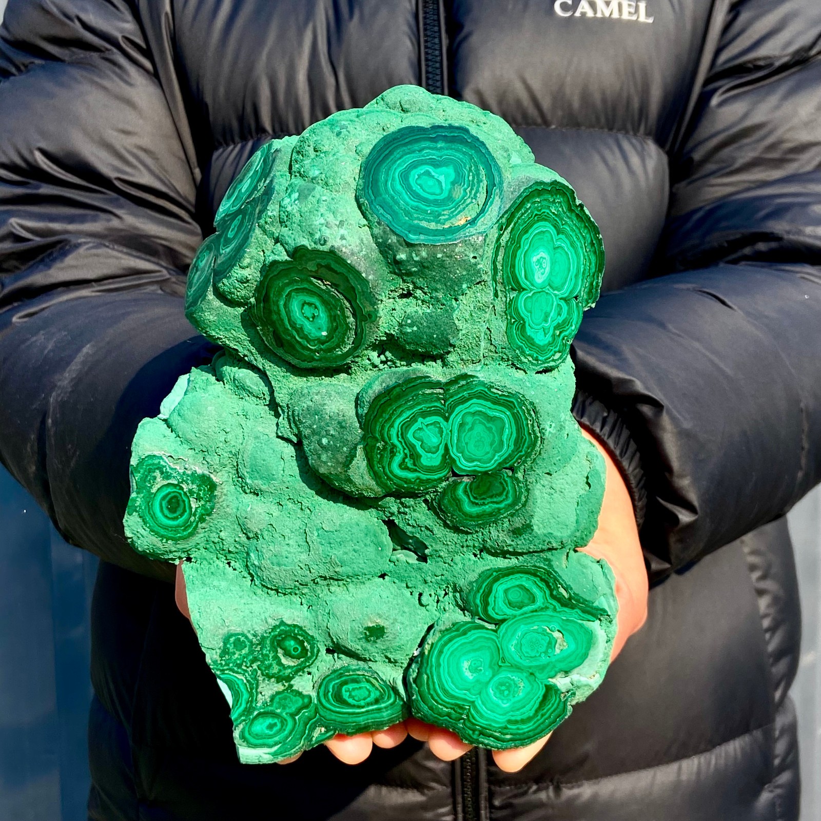 4.9LB Natural tortoise Malachite transparent cluster coarse mineral sample