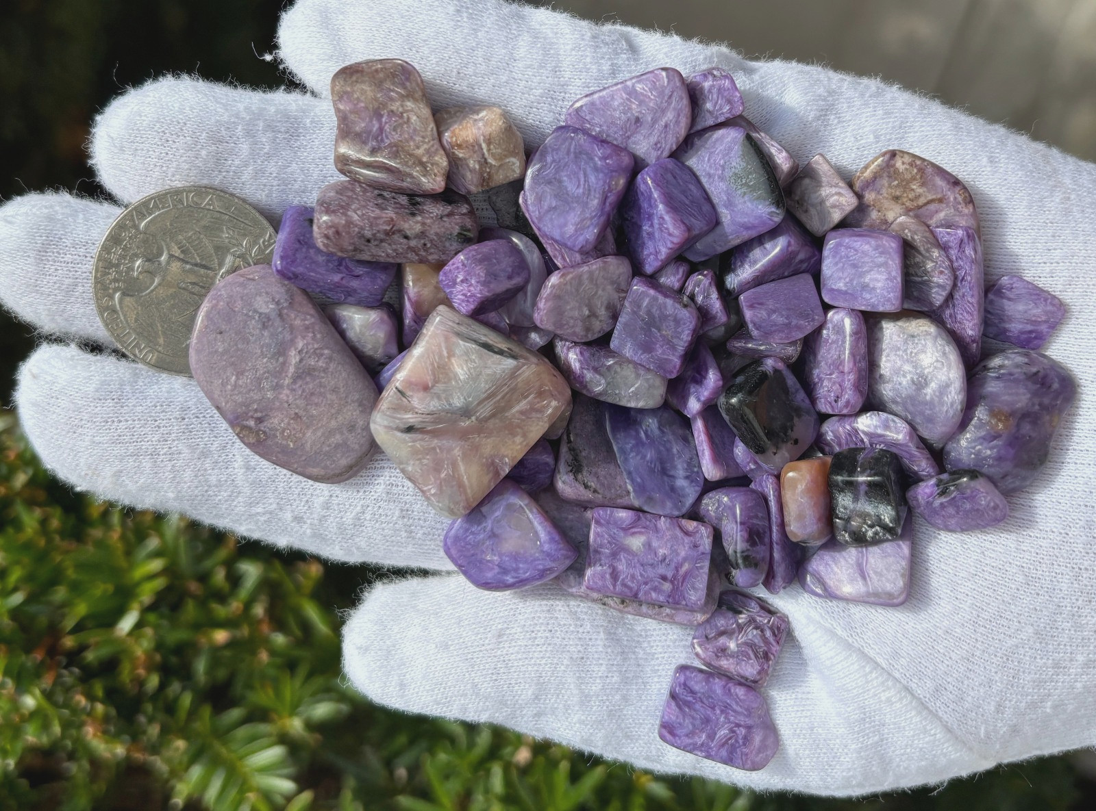 96g LOT CHAROITE CHIPS REAL AUTHENTIC MIXED SIZES: SMALL XS TINY