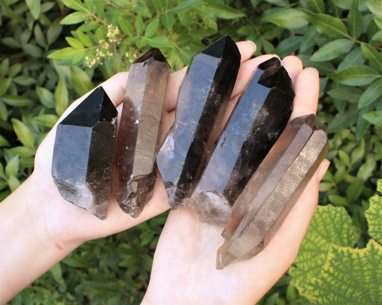 Smoky Quartz Points, LARGE ‘AAA’ Grade Smoky Quartz Crystal Point: Choose Size