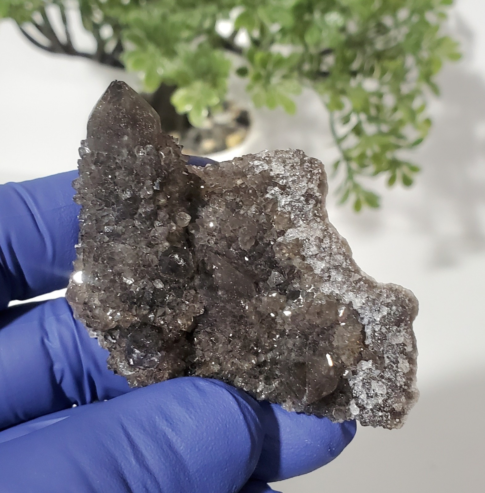 Black Spirit Quartz Cluster Specimen (Fairy Quartz) South Africa 34g