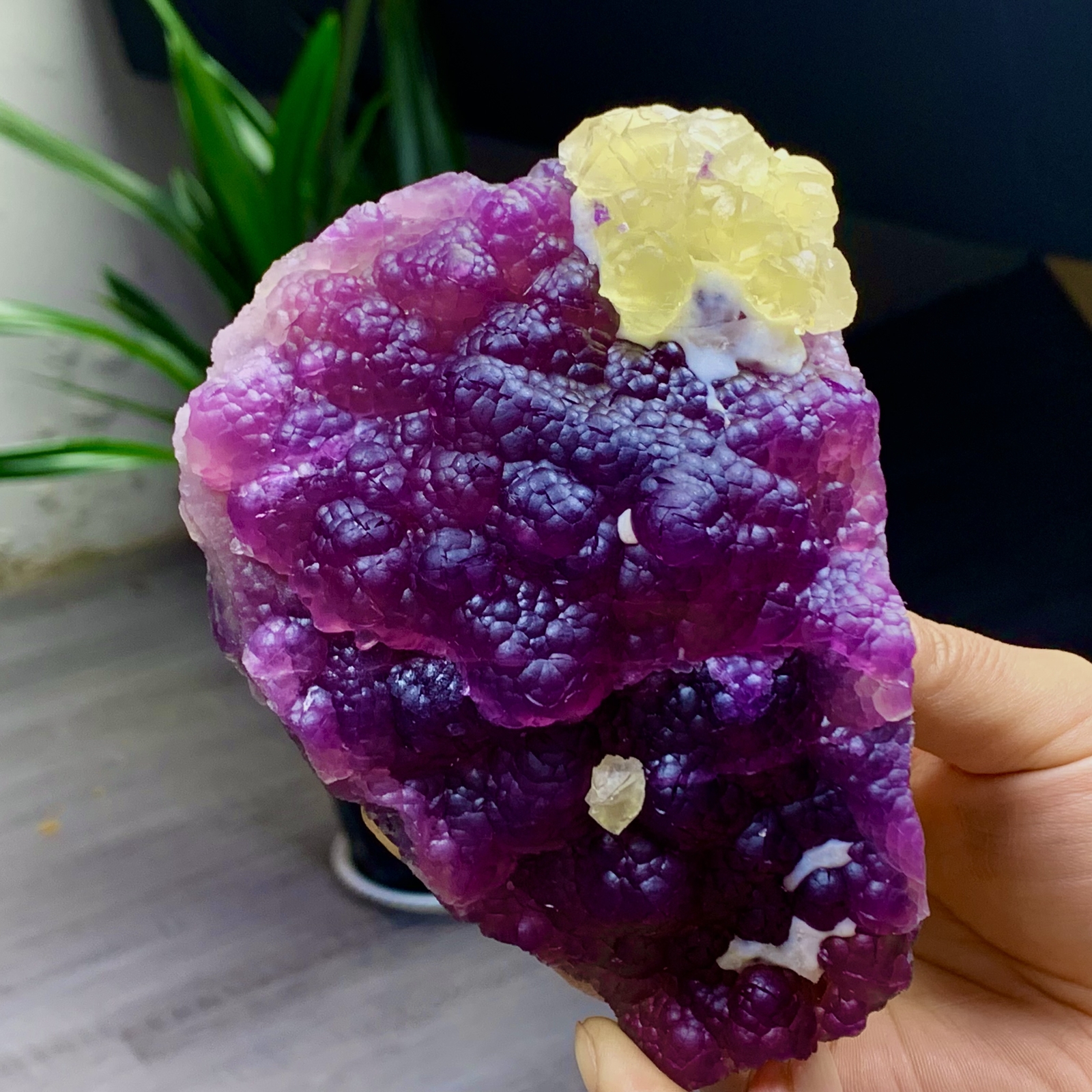 2.40LB Complete rare and gorgeous purple fluorite from Inner Mongolia, China