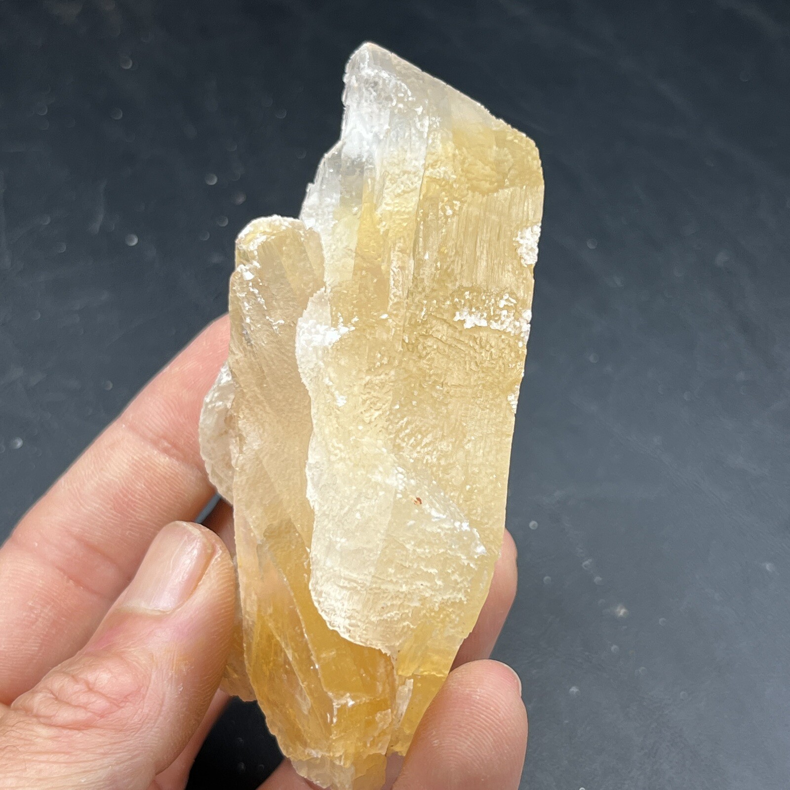 Golden Phantom Selenite Cluster aka: Gypsum | Utah
