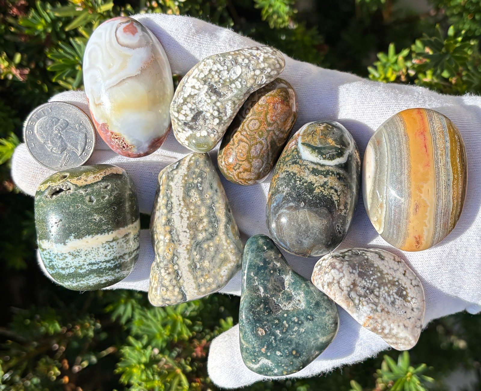 USA SALE 340g LOT XL/L TUMBLES OCEAN JASPER TUMBLES TUMBLE TUMBLED STONE STONES