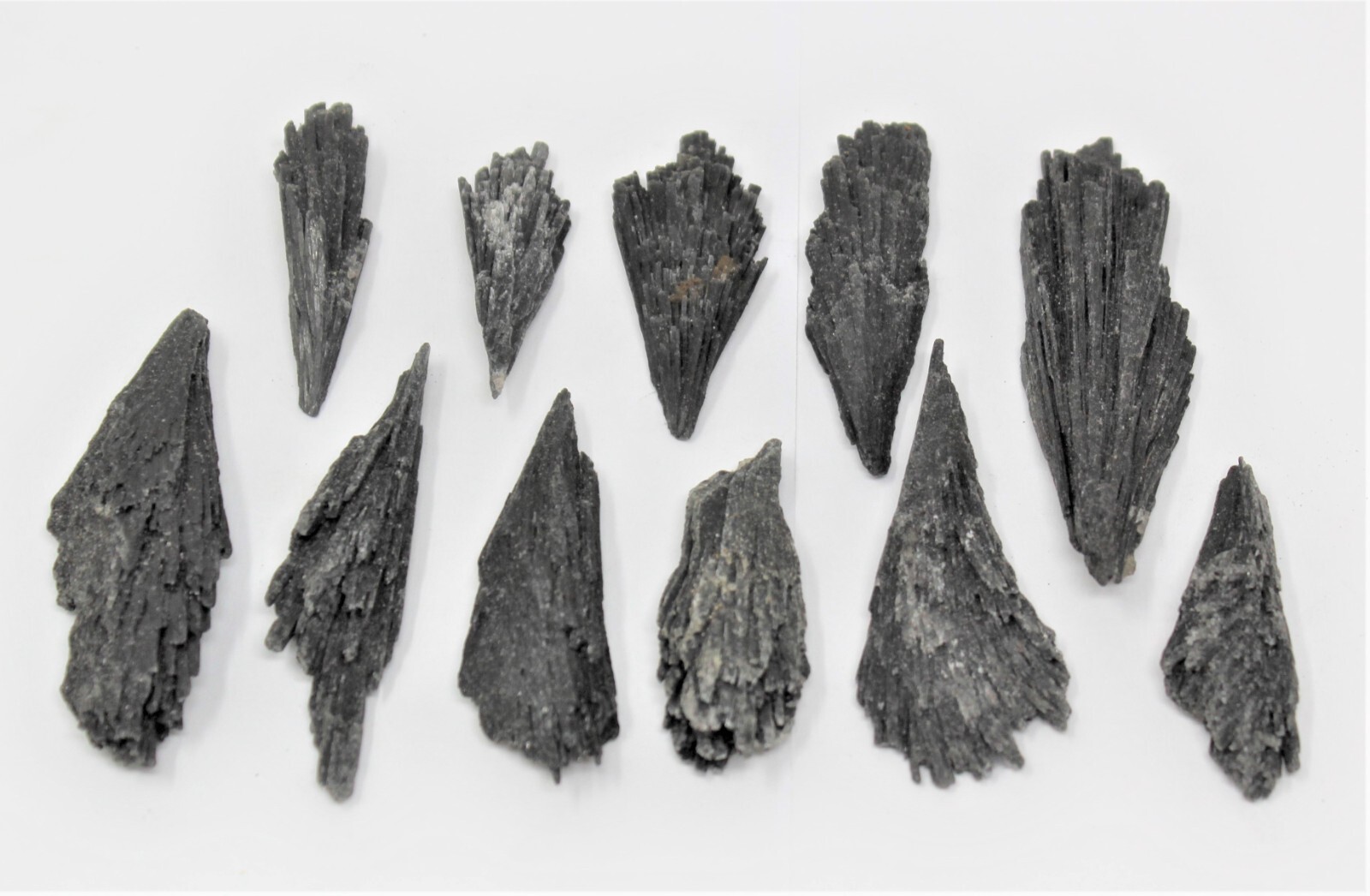Black Kyanite Blades: Premium Quality Chunky Natural Rough Kyanite Flat Box