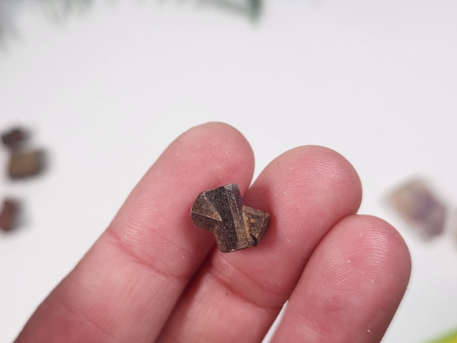 10 Fairy Cross Specimen Crystals Madagascar St Andrews Cross 10mm -15mm Et1