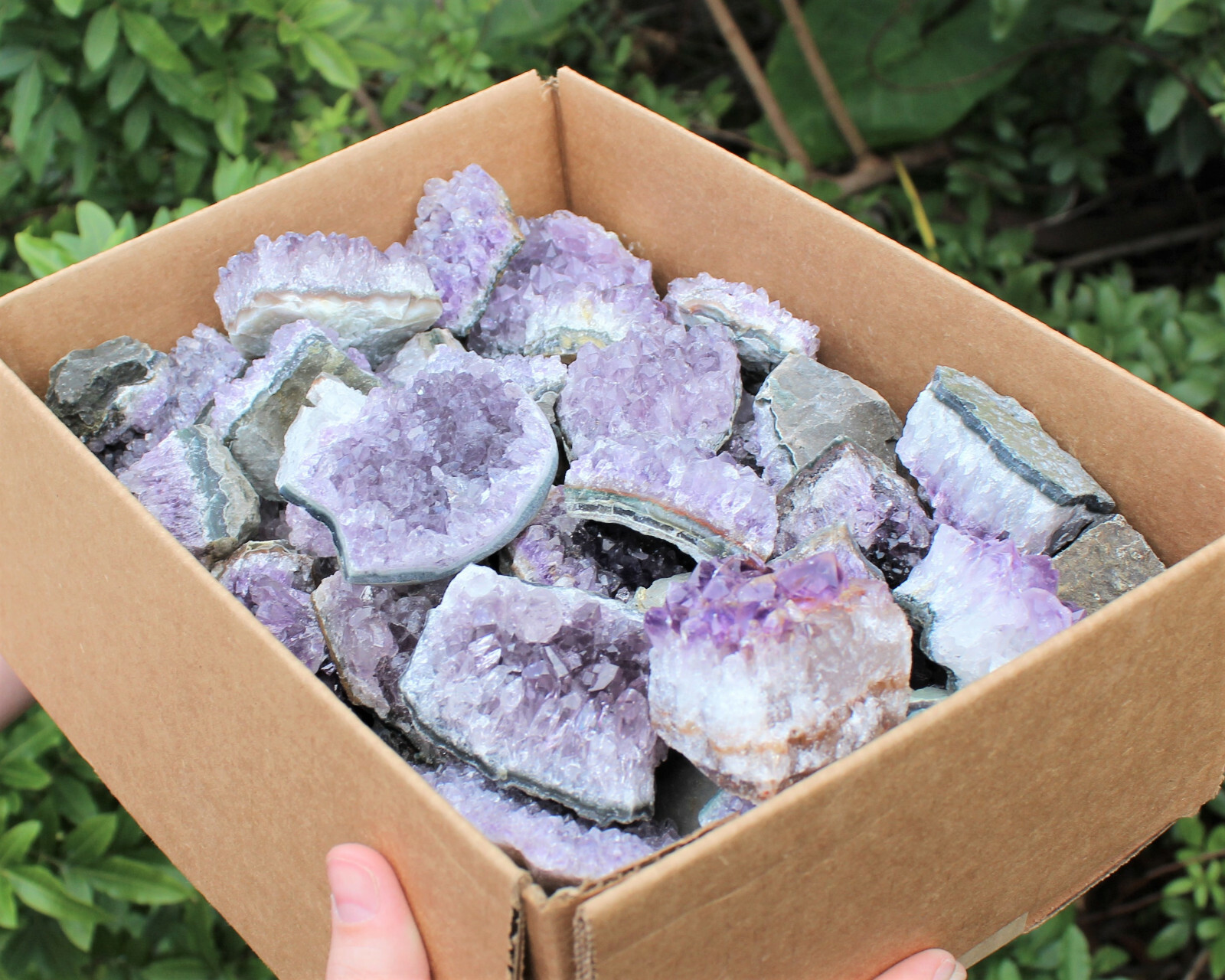Wholesale Amethyst Cluster Box: B/C Grade CLEARANCE Box Bulk Amethyst Geodes