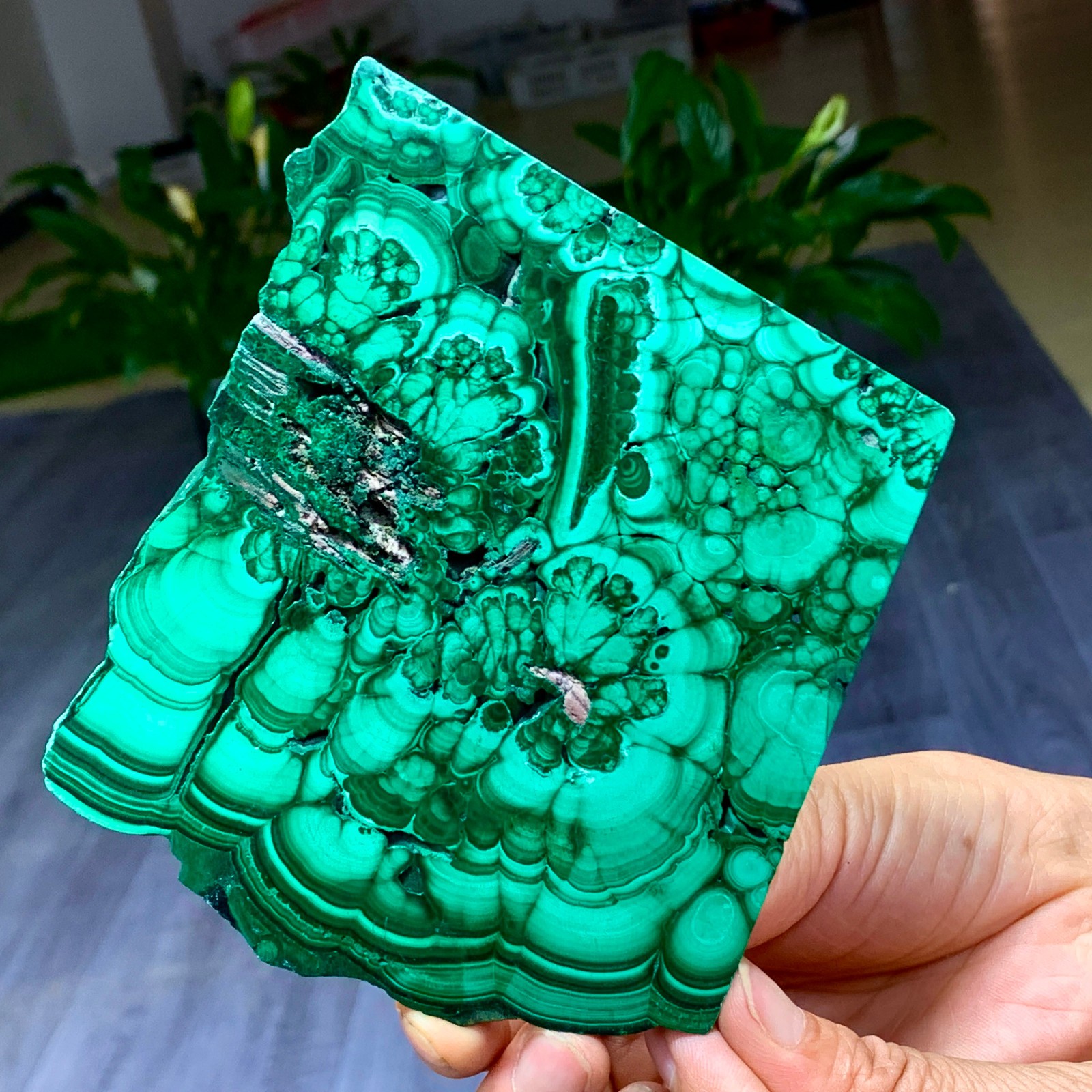 290G Natural glossy Malachite transparent cluster rough mineral sample
