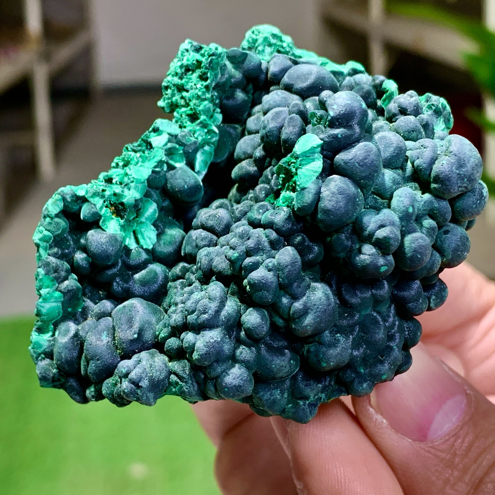 205G Natural glossy malachite cat eye transparent cluster rough mineral Sample