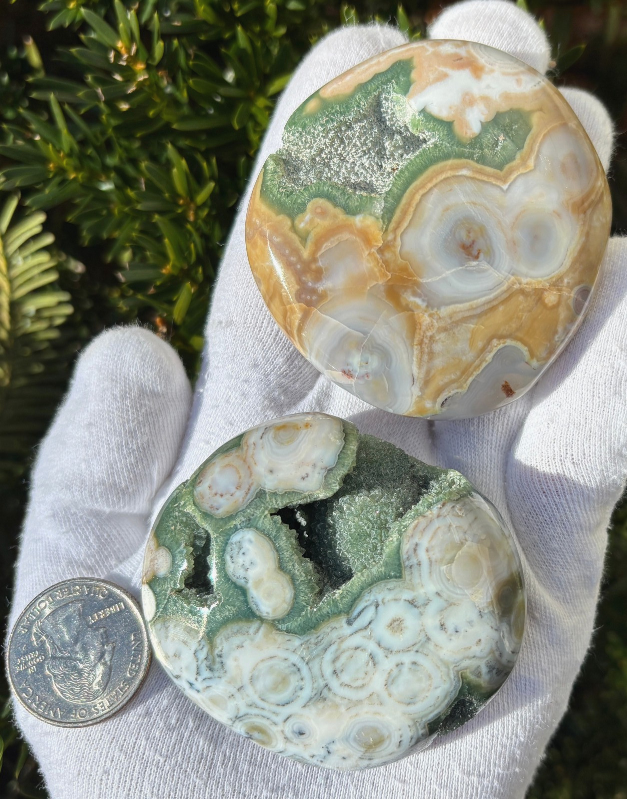 201g LOT 8th VEIN 8 OJ OCEAN JASPER PALMSTONES PALM STONE STONES PALMSTONE DRUZY