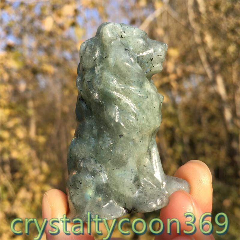 2″+ Natural Labradorite Quartz Carved Lion Crystal Gift Skull Reiki Healing 1pc