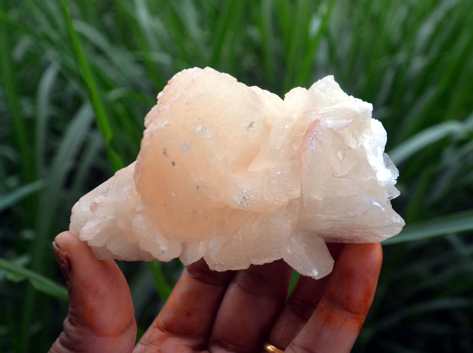 stilbite crystals w/ heulandite minerals specimen j-7