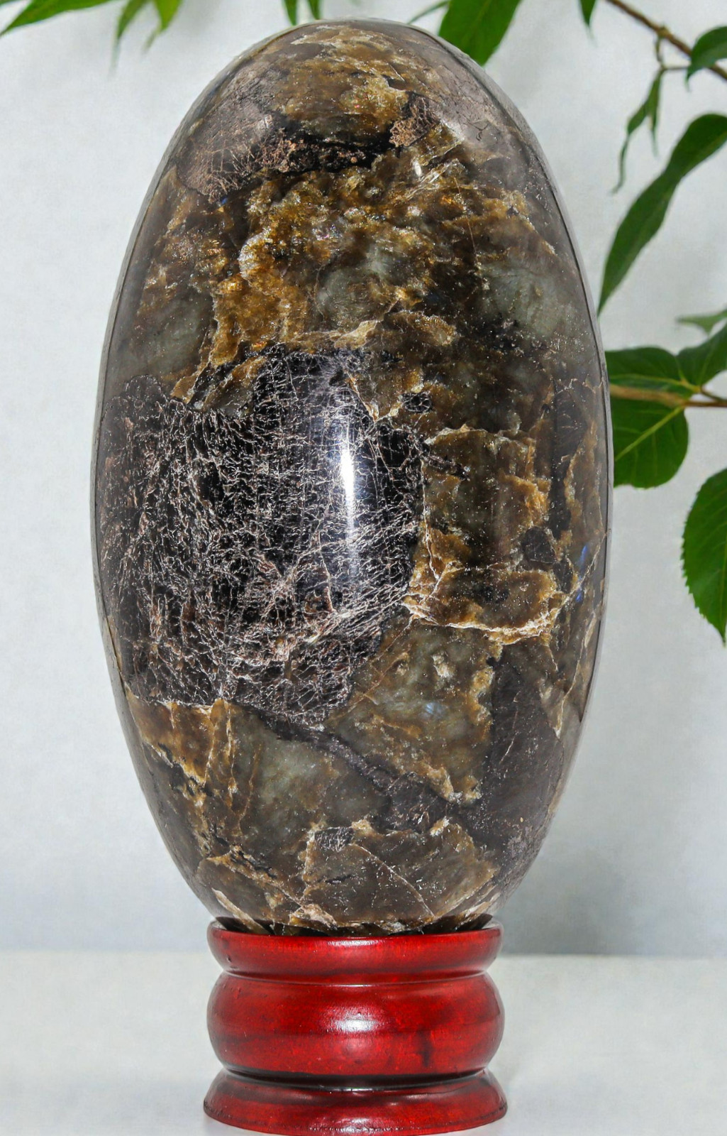 Flashy Green LABRADORITE Crystal Quartz Healing Energy Stone Lingam 180mm