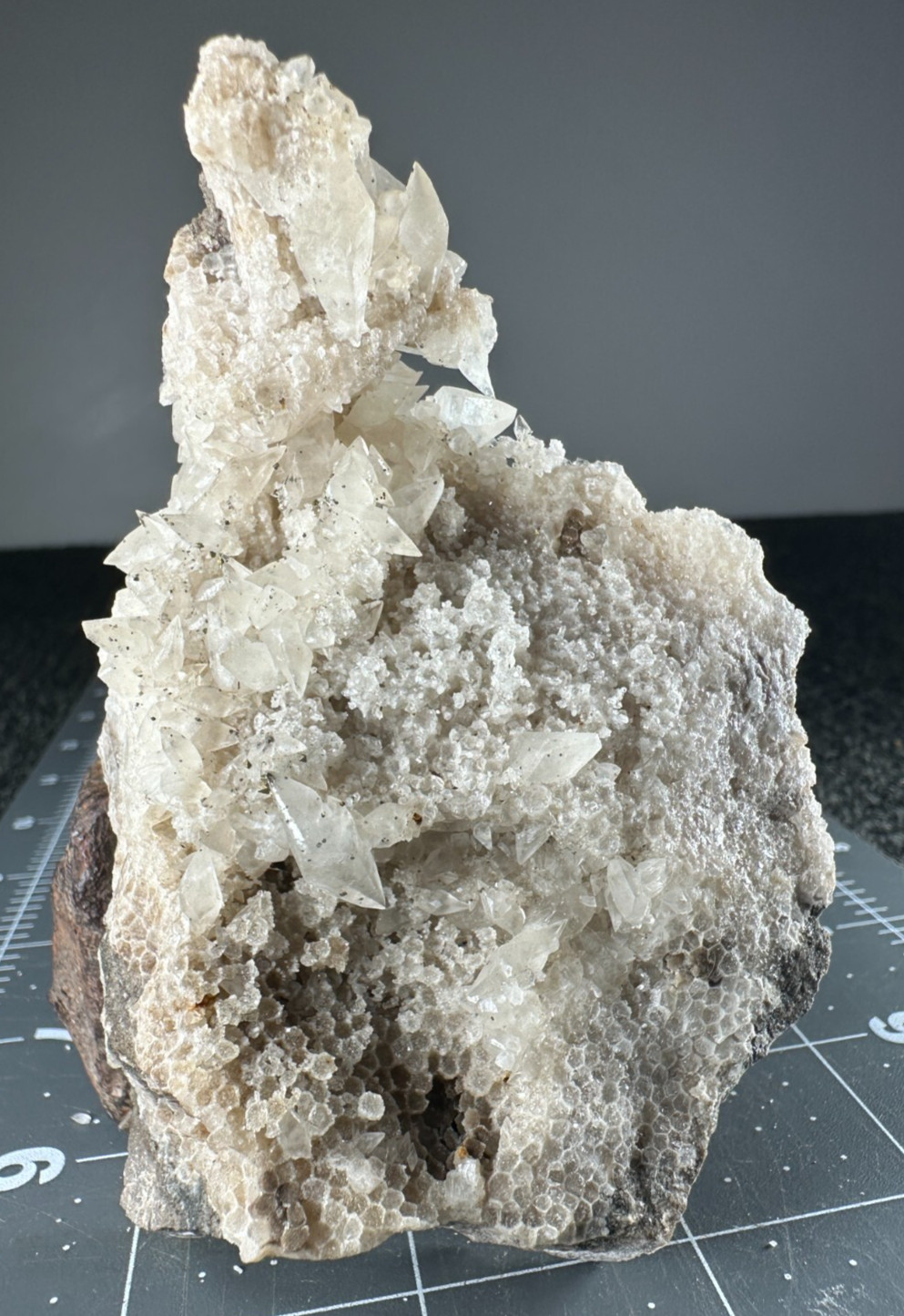 ➤4 Inch DOUBLE TERMINATED FOSSIL CORAL CALCITE CRYSTALS Pints Quarry VIDEO➤1073