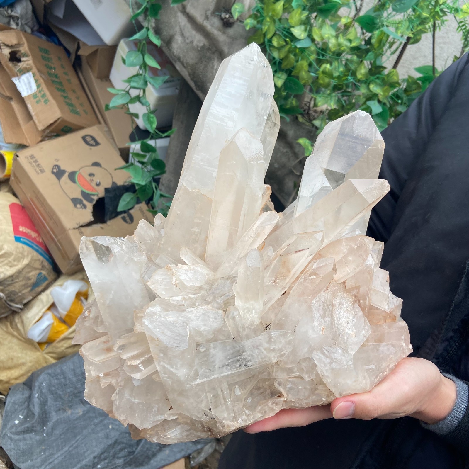 29.9lb Natural Clear White Crystal Quartz Cluster Rough Healing Specimen