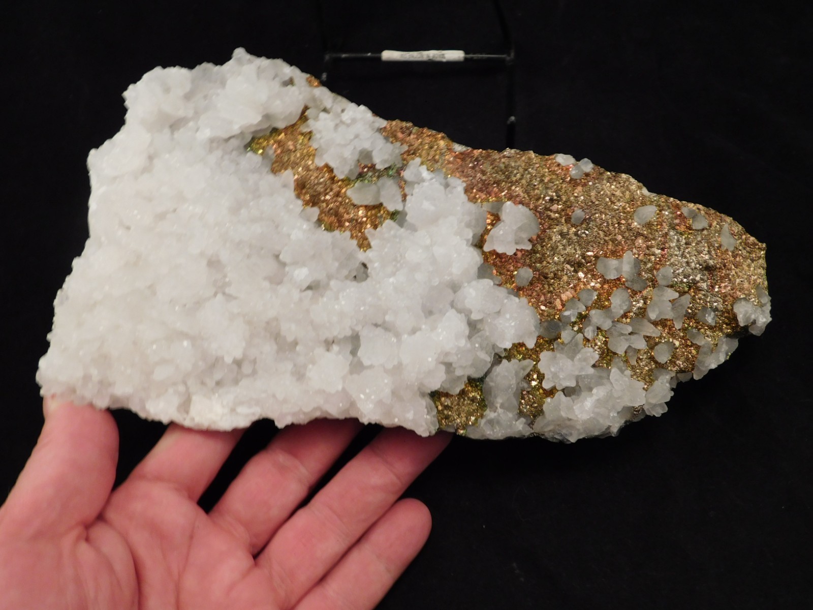 BIG! MARCASITE Crystal Cluster with Fluorescent Calcite Crystals Mexico 2464gr