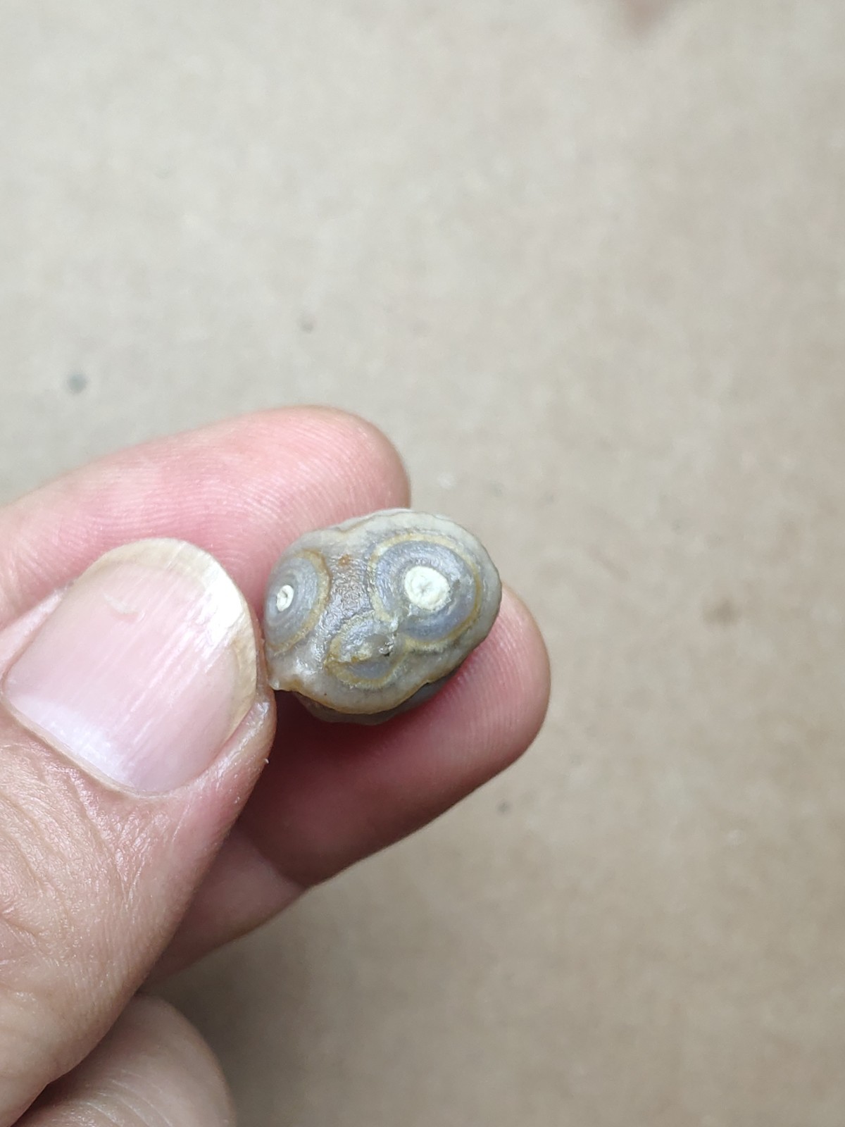 17mm Beautiful Natural agate Gobi agate eye agate cute collection