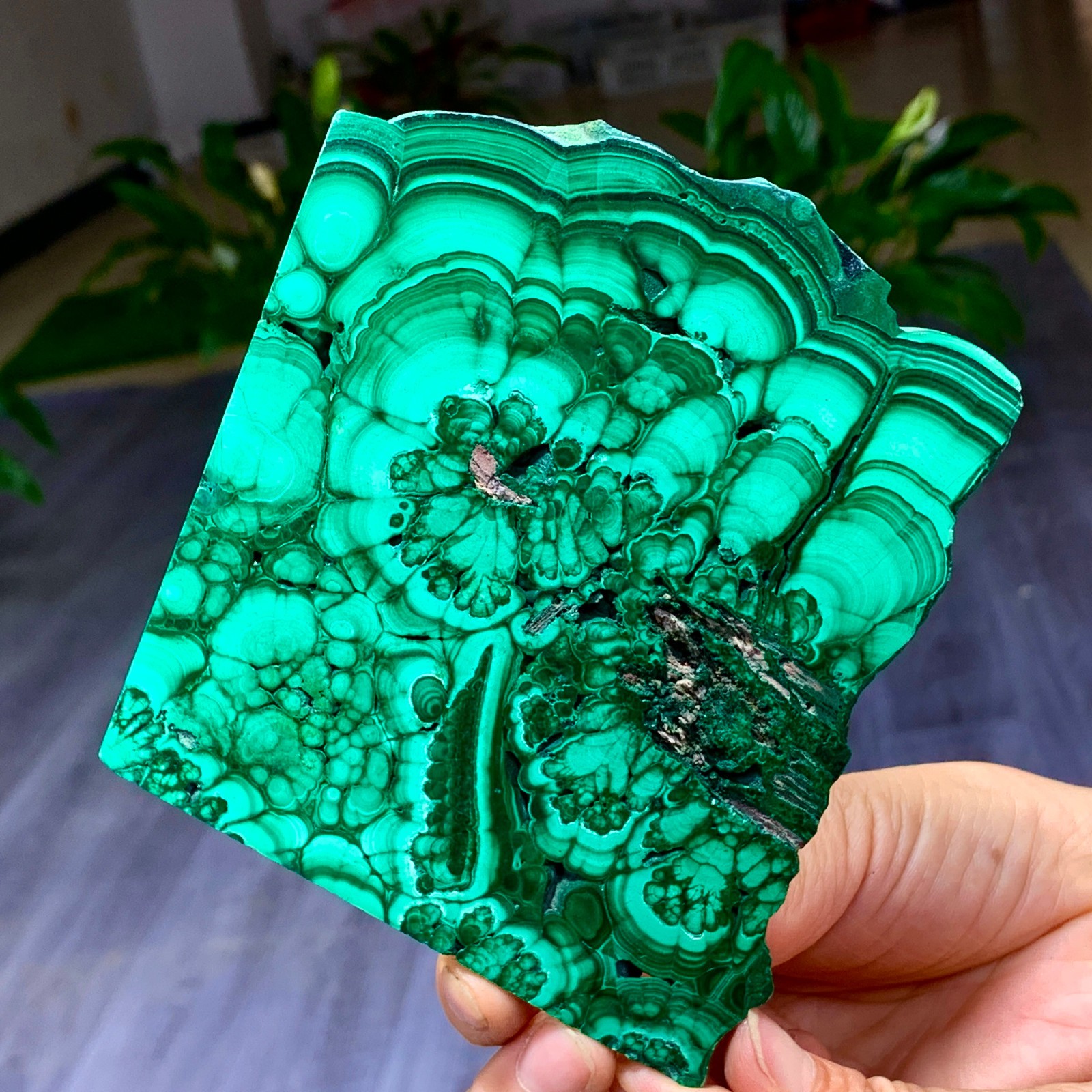 290G Natural glossy Malachite transparent cluster rough mineral sample
