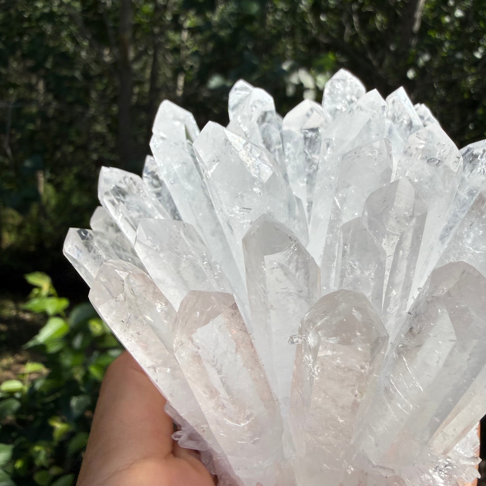 2.2LB Large Natural White Clear Quartz Cluster Crystal Mineral Healing 1pc