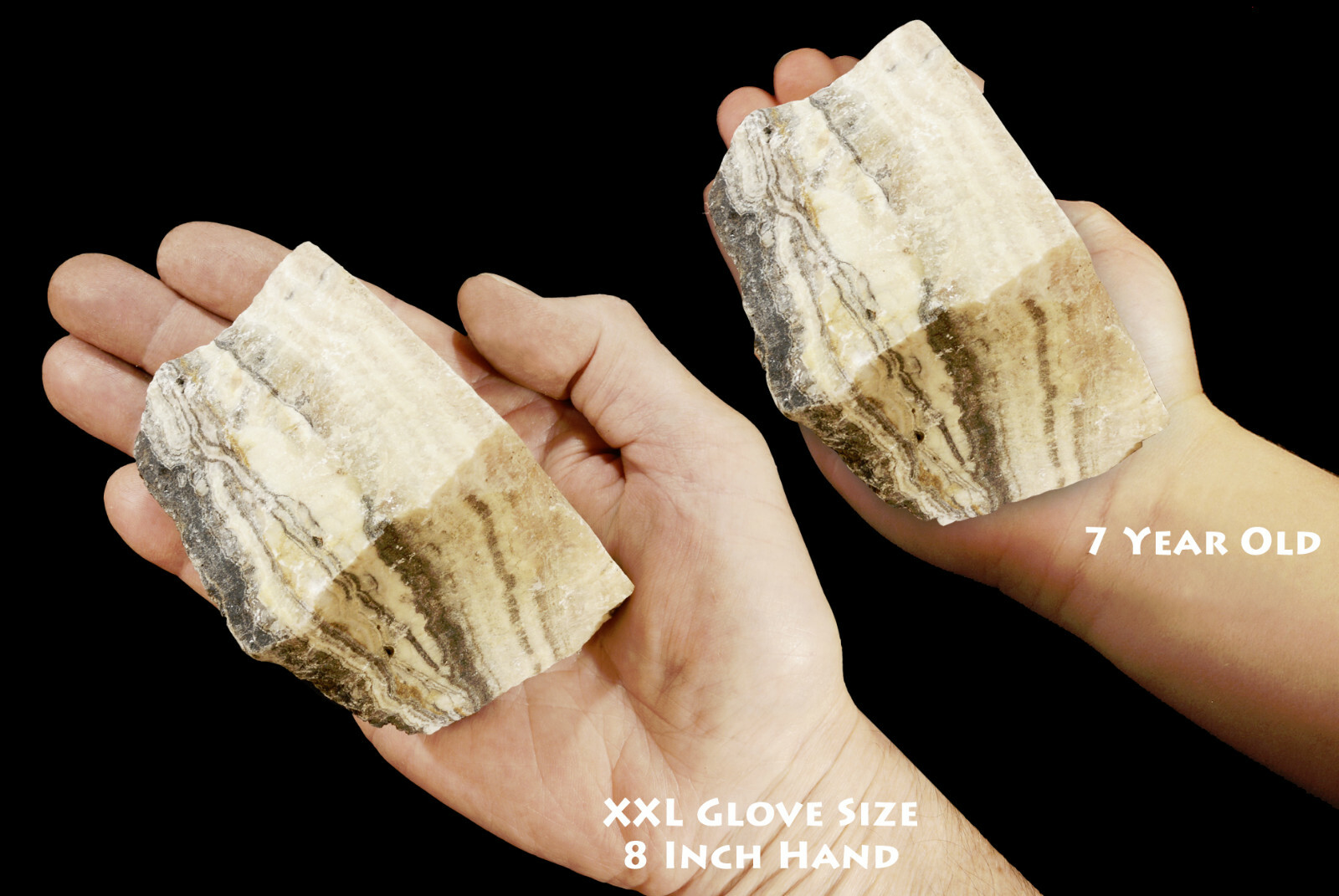TRAVERTINE 3″ 1 Lb – 1 1/2 Lb Rock Mineral Specimen Root Chakra Healing Crystal