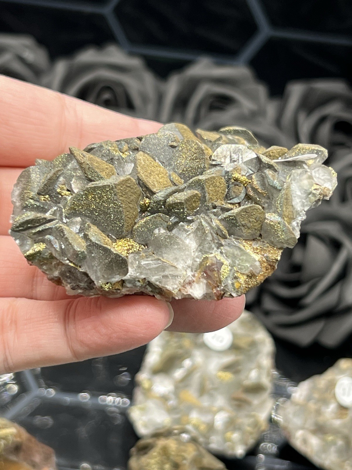 Natural Pyritic “Benz Coin” Calcite Specimen great Formation Free ship & Gift