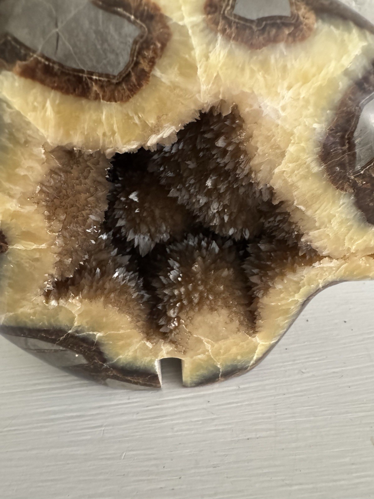 Septarian Nodule Bear Large Figurine Hand Carved Dragon Stone Crystal Sculpture