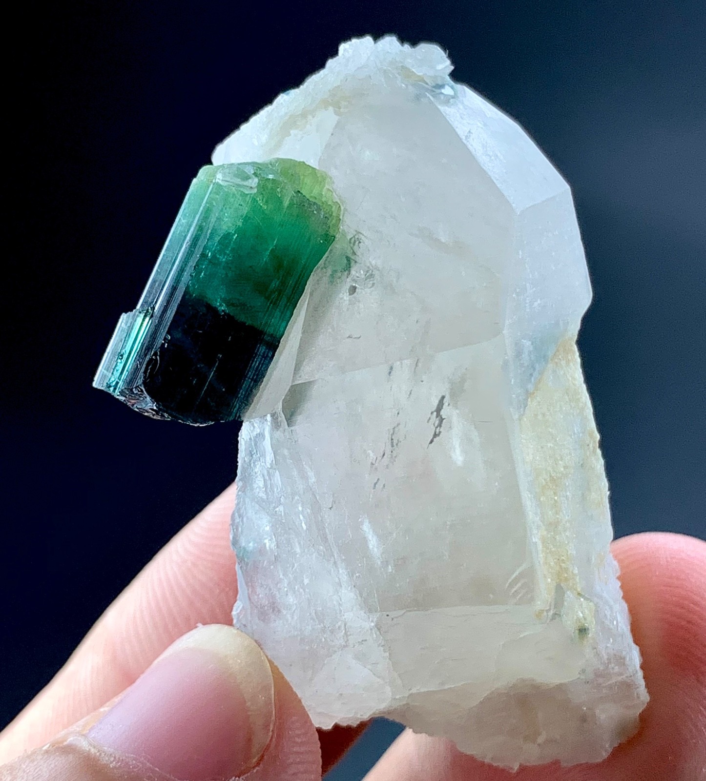 Bi Colour Tourmaline Crystal With Quartz From Afghanistan 118 Carat