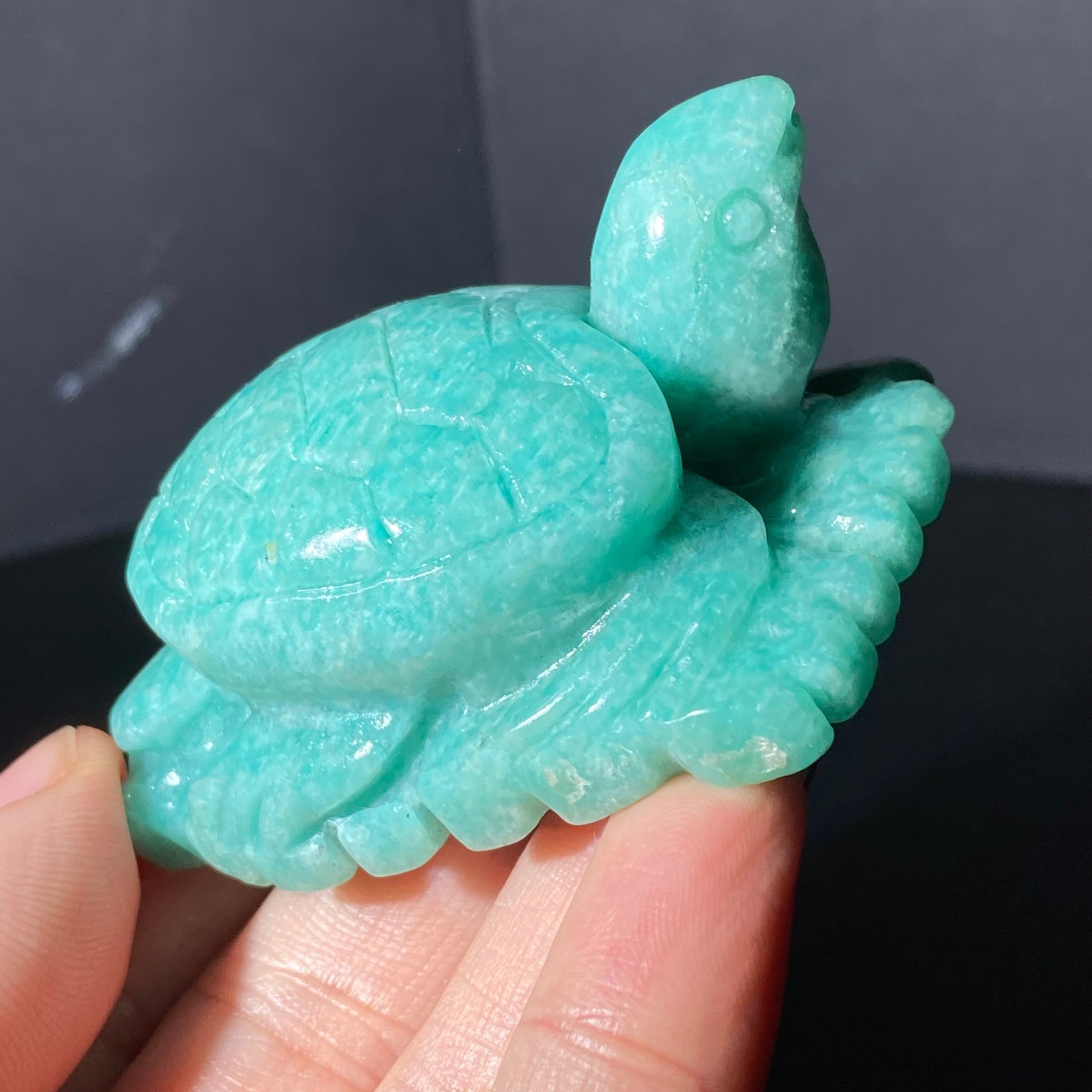 108G Natural Tianhe stone Turtle Quartz Tortoise Carved Crystal Skull Healing