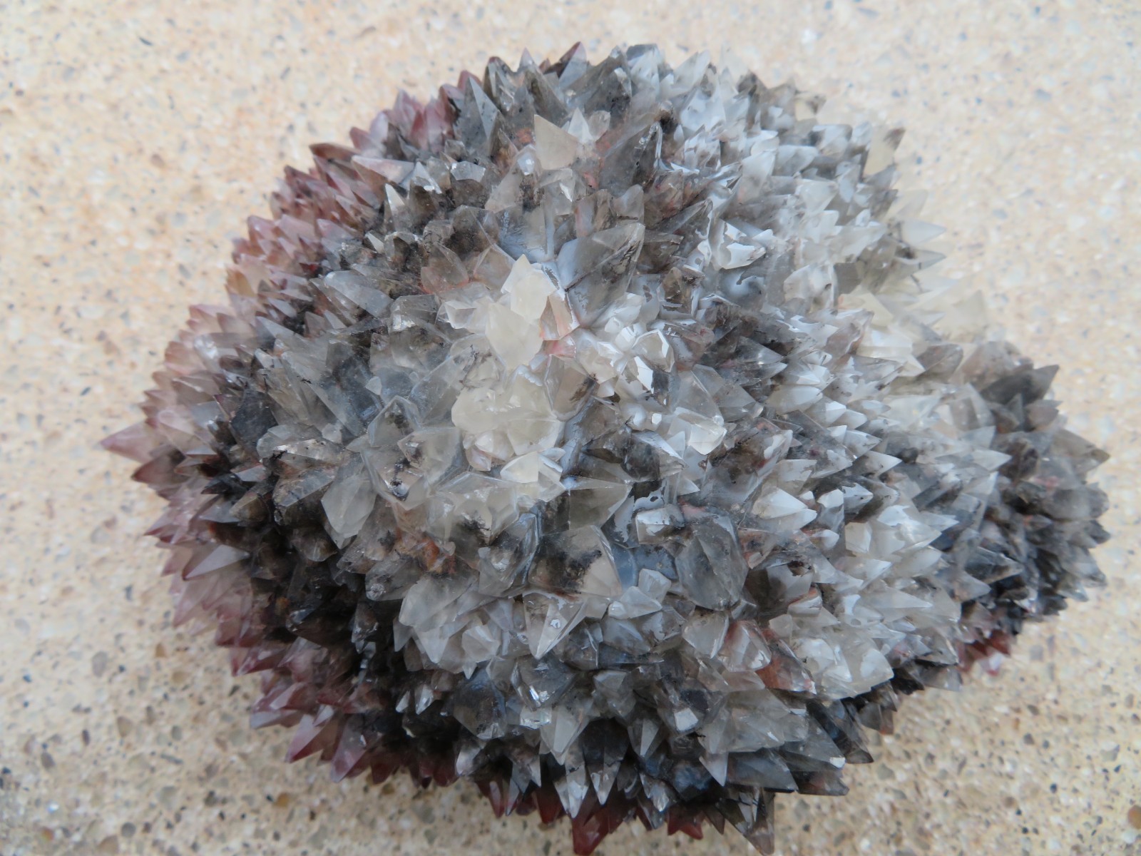 Very Rare Superb Excellent Calico Dog Tooth Calcite From San Antonio mine,Mexico