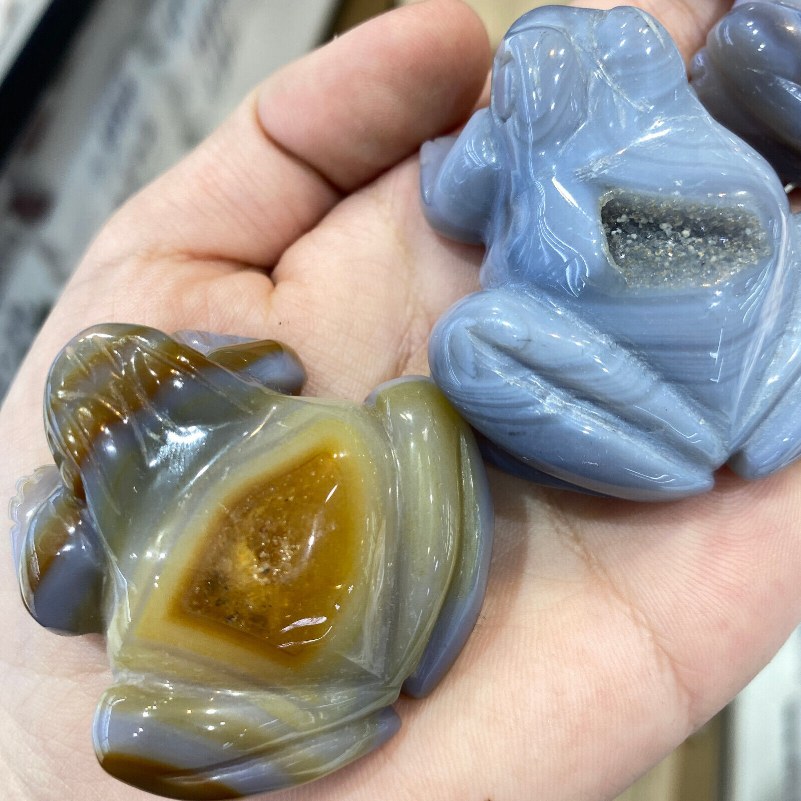1PC Natural Geode agate hand carved frog Crystal quartz Healing Gift random