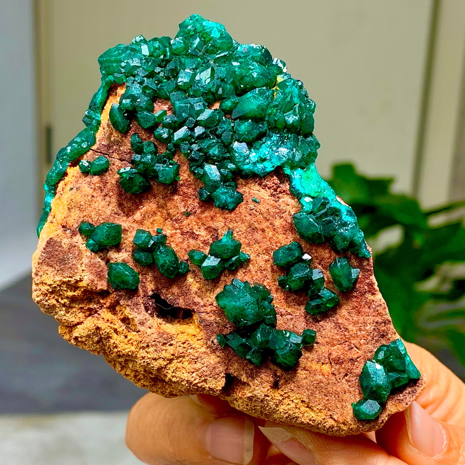 205G Natural Deep Green Grainy dioptase gemstone cluster mineral specimen