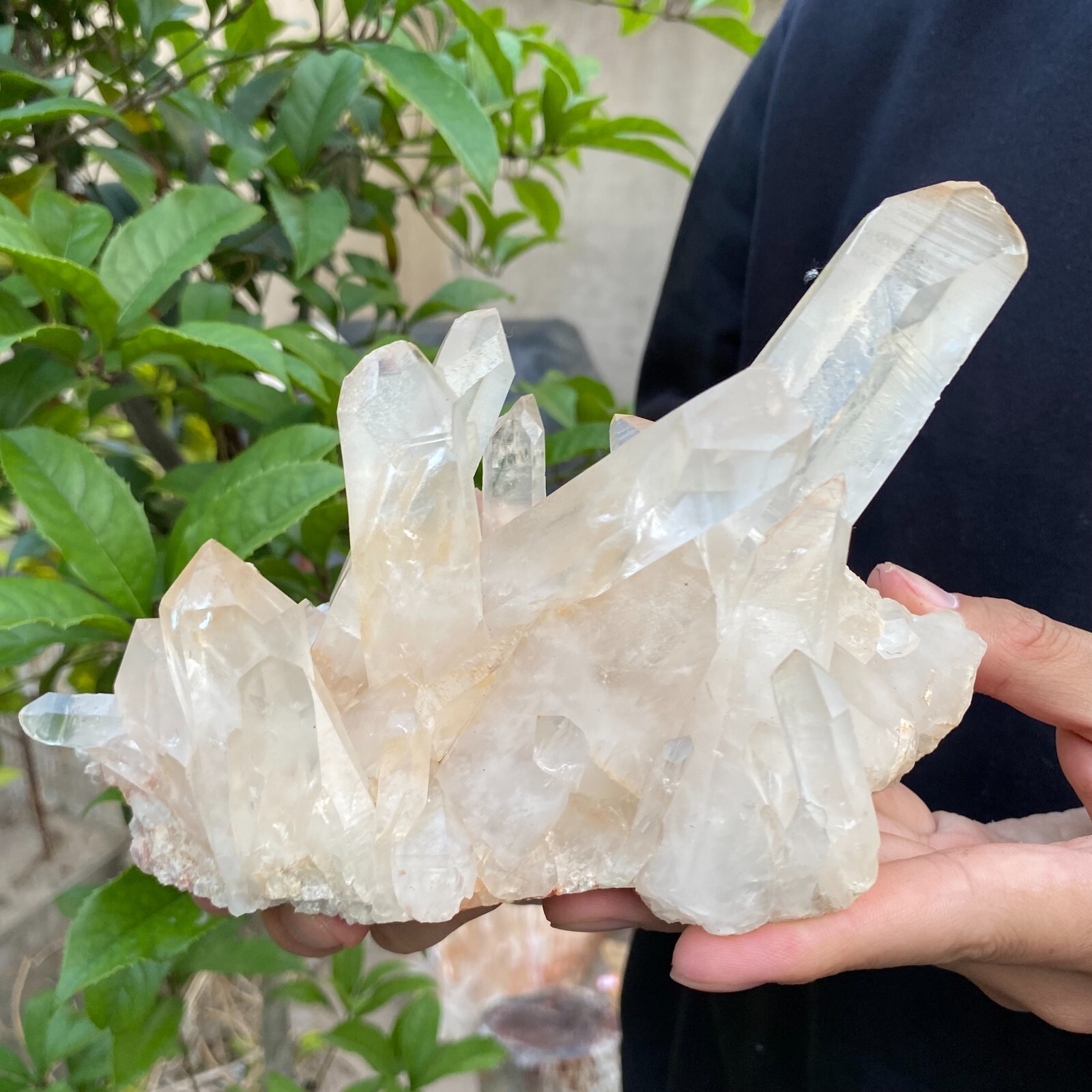 2lb Natural Clear White quart Crystal Cluster Raw Healing Specimen